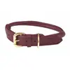 Image de Collier pour chien en cuir roulé Weatherbeeta Rouge L 1001694011