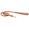 Image de Laisse pour chien en cuir roulé Weatherbeeta Marron M 1001695014