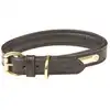Image de Collier pour chien en cuir rembourré Weatherbeeta Noir L 1001696003
