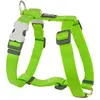 Image de Harnais réglable pour chien Red Dingo Vert 15 mm F6151-DH-ZZ-LG-15