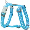 Image de Harnais réglable pour chien Red Dingo Bleu 20 mm F7977-DH-ST-TQ-20