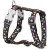 Image de Harnais réglable pour chien Red Dingo Marron 20 mm F8032-DH-S2-BR-20
