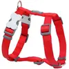 Image de Harnais réglable pour chien Red Dingo Rouge 20 mm F7850-DH-ZZ-RE-20