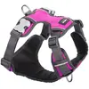 Image de Harnais rembourré pour chien Red Dingo Rose XS DH-PH-HP-XS