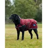 Image de Manteau pour chien Weatherbeeta Comfitec Premier Deluxe Rouge 80 cm 1028800011