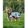 Image de Manteau pour chien impérmeable Weatherbeeta Comfitec Gris 50 cm 1029047005