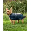 Image de Manteau pour chien impérméable Weatherbeeta Comfitec Classic Vert 35 cm 1029048013