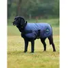 Image de Manteau pour chien impérméable Weatherbeeta Comfitec Classic Bleu 35 cm 1029048024