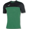 Image de Maillot Joma Winner Vert S 100946.401