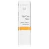 Image de Dr. Hauschka Eye And Lip Care Lip Care Stick stick lèvres nourrissant 4.9 g