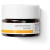 Image de Dr. Hauschka Lip Balm For Women 0.15 oz Lip Balm