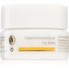 Image de Dr. Hauschka Eye And Lip Care baume à lèvres effet nourrissant 4.5 ml