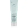 Image de Paul Mitchell Awapuhi Wild Ginger Repair Cream Rinse après-shampoing nourrissant pour tous types de cheveux 250 ml