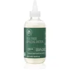 Image de Paul Mitchell Tea Tree Special Detox Kombucha Rinse sérum détoxifiant protecteur pour cuir chevelu 200 ml