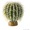 Image de Exoterra Décoration Cactus Oursin pour Reptiles et Amphibiens