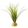 Image de Exoterra Plante de Décoration pour Reptile Turtle Gras W/Stone