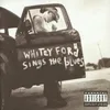 Image de Whitey Ford Sings the Blues/Vinyle Couleur