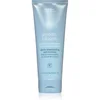 Image de Aveda Smooth Infusion  Anti-Frizz Conditioner après-shampoing lissant pour des cheveux disciplinés sans frisottis 200 ml