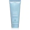 Image de Aveda Smooth Infusion  Perfectly Sleek  Heat Styling Cream thermo-crème de lissage pour cheveux indisciplinés anti-frisottis 40 ml
