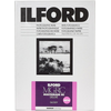 Image de Ilford Papier Multigrade RC de luxe - Surface Brillante - 20.3 x 25.4 cm - 100 feuilles (MGD.1M)