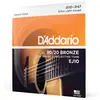 Image de Cordes 80/20 Bronze pour guitare acoustique au son clair, forte projection, réponse équilibrée et fiabilité constante.