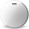 Image de Evans B16GB4UV Peau de tom, 16 pouces