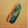 Image de D'Addario Ascenté Viola Cordes Set complet Medium Scale