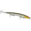 Image de Max Rap 13CM AYU