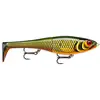 Image de Rapala - Leurre de Pêche X-Rap Peto - Matériel de Pêche avec Queue Souple - Leurre Pêche d'Eau Douce - Profondeur de Nage 0.5-1 m - Taille 14 cm / 39 g - Fabriqué en Estonie - Scaled Roach