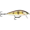 Image de Rapala - Leurre de Pêche Countdown Elite - Construction Balsa - Leurre d'eau Douce Coulant - Profondeur de Nage 1,2m - Taille 7,5cm /10g - Fabriqué en Estonie - Gilded Mediterranean Trout