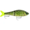 Image de SUPER SHADOW RAP GLIDE 11 PKL