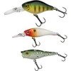 Image de Berkley Pulse Hard Bait Packs, 3 leurres durs sélectionnés par l'équipe de pêcheurs Professionnels de Berkeys développés pour la Truite et la Perche, Excellente Action de nage et Vibration