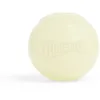 Image de Chuckit! Max Glow Medium 1-Pack