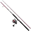Image de PENN Combo PENN Fierce IV Spin, Ensemble pour la pêche au leurre en mer, côtiers ou hauturiers, polyvalents, bons pour les prédateurs marins, y compris le bar, la morue, le lieu jaune, le labre