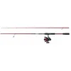 Image de PENN Combo PENN Fierce IV Labrax, Ensemble canne et moulinet bonement assortis pour la pêche au bar, 4+1 roulements à billes en acier inoxydable, blank en carbone léger, solide mais sensible