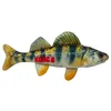Image de Kong Wild Shield Jouet en Forme de Poisson pour Chiens de Taille Moyenne (Perche)