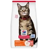 Image de Hill's Science Plan : Croquettes pour Chat Adulte au Saumon - Aliment Complet Équilibré pour une Santé Optimal