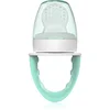 Image de Dr. Brown's Fresh First tétine 4 m+ 1 pcs