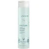 Image de Joico Innerjoi Hydrate Conditioner