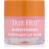 Image de Tree Hut Watermelon Lip Mask masque de nuit lèvres 17 g