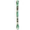 Image de Bulk Buy : DMC Faden Sechs Fil de broderie en coton - 7,95 m, Coton, Vert moyen, 12-Pack De
