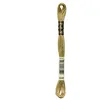 Image de DMC Fil de coton à broder 6 brins - Jaune foncé beige