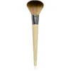Image de EcoTools Precision pinceau blush 1 pcs