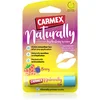 Image de Carmex Naturally Berry baume à lèvres hydratant en stick 4.25 g