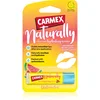 Image de Carmex Watermelon baume à lèvres hydratant en stick 4.25 g