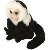 Image de Wild Republic Cuddlekins Mini Capucin Singe, Animal en Peluche, 20 cm, Cadeau pour Bébés, Peluche Écologique, Rembourrage Fabriqué à Partir de Bouteilles d’Eau Recyclées