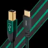 Image de AudioQuest Forest USB B vers Type C - Câble USB-B vers USB-C de 0,75 m