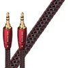 Image de AudioQuest GOLDG0.6M Câble 0.6 m
