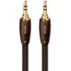 Image de AudioQuest 1m Big sur 3.5mm câble Audio 3.5mm Noir