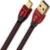 Image de AudioQuest Cinnamon 1.5m Micro-USB Cable USB A Micro-USB B Mâle/Mâle Câble USB - Noir (1.5m, USB A, Micro-USB B, 2.0, Mâle/Mâle, Noir)